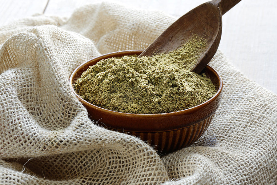 5 Most Frequently Asked Questions about Hemp Protein