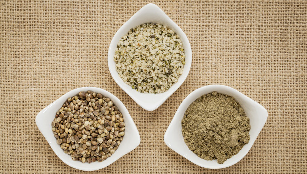 Benefits of Hemp Protein