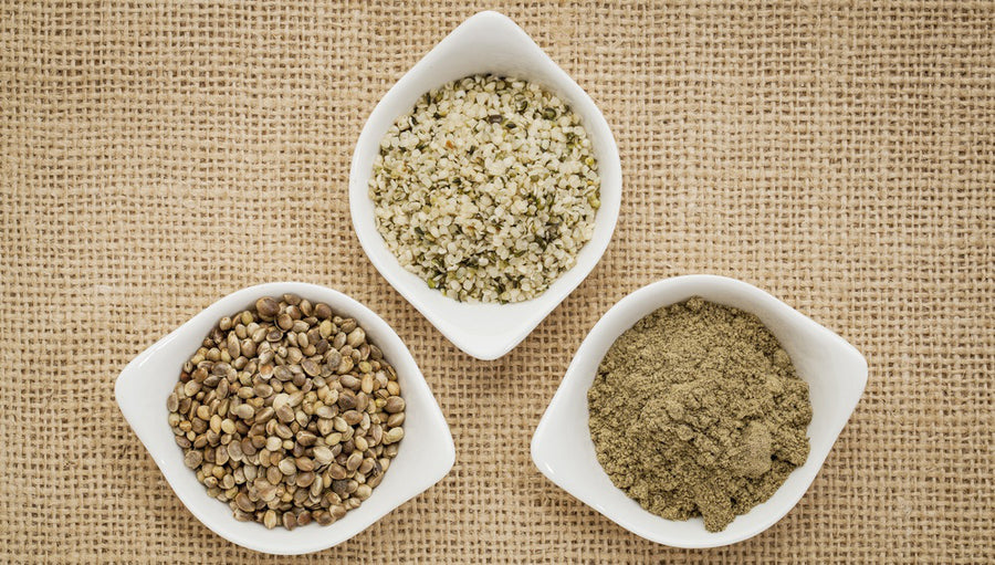 Benefits of Hemp Protein