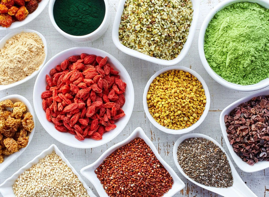 Top 5 Sources of Plant Protein