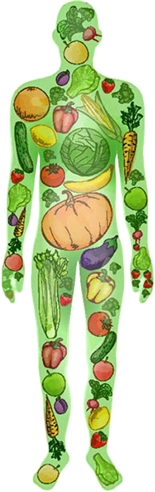 A light green full-body human figure silhouette covered with colorful illustrated vegetables and fruits, shown on a plain white background.